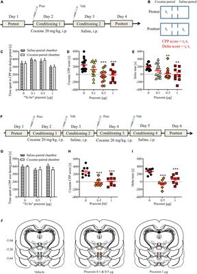 Alpha1-adrenergic receptor blockade in the ventral tegmental area attenuates acquisition of cocaine-induced pavlovian associative learning
